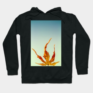 Acer Palmatum Leaf Hoodie